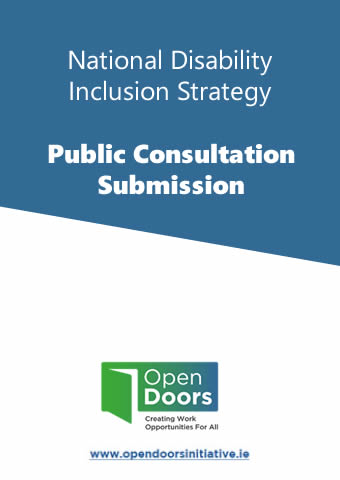 National Disability Inclusion Strategy