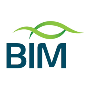 BIM